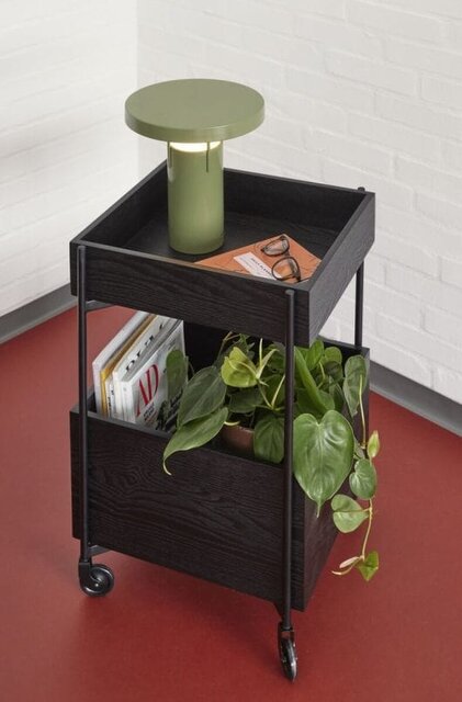 Hubsch Carrito Fresh negro - 021609