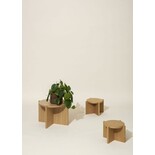 Hubsch Nomad Plants standard basso - 881613 Hubsch Nomad Plants standard basso - 881613