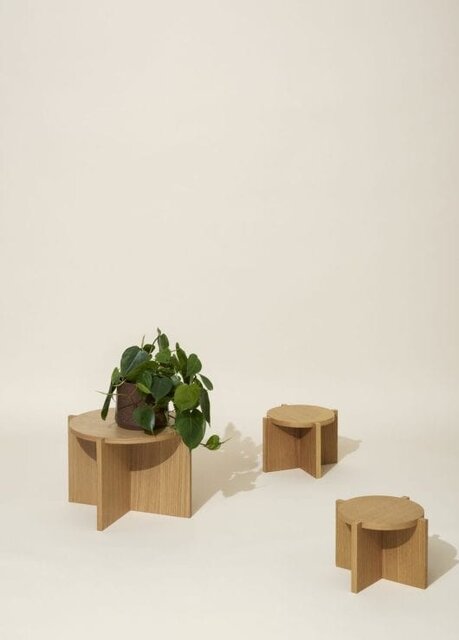 Hubsch Nomad Plants standard lav - 881613