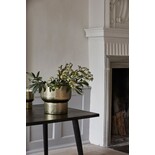 Nordal Alimia Blumentopf L Gold - 24158 Nordal Alimia Blumentopf L Gold - 24158