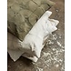 Nordal Albali kussen rechthoek creme incl. vulling - 42459 Nordal Albali kussen rechthoek creme incl. vulling - 42459