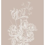 KEK Amsterdam Indgraveret blomstertapet sand WP-745 200x280cm