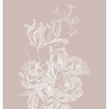 KEK Amsterdam Gravert blomstertapet sand WP-748 300x280cm KEK Amsterdam Gravert blomstertapet sand WP-748 300x280cm