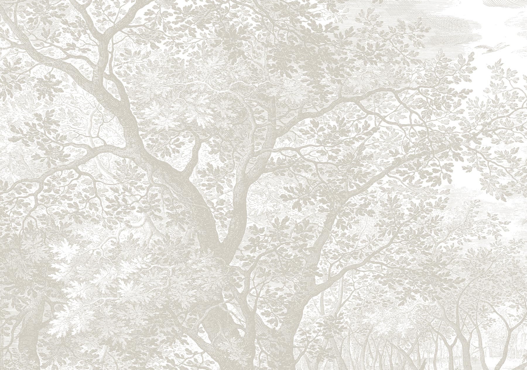 KEK Amsterdam Papier peint paysages gravés gris WP-770 200x280cm