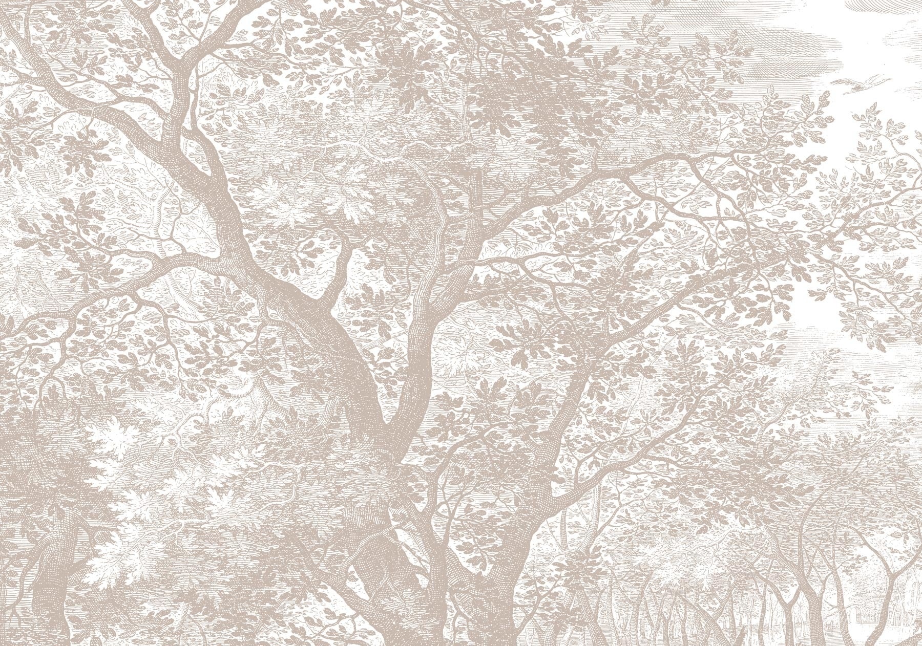 KEK Amsterdam Papier peint paysages gravés sable WP-778 400x280cm