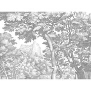 KEK Amsterdam Engraved landschappen behang grijs WP-781 400x280cm