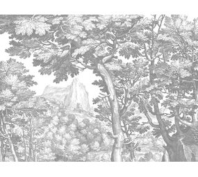 KEK Amsterdam Engraved landschappen behang grijs WP-781 400x280cm