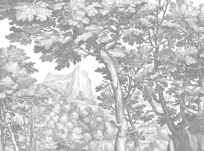 KEK Amsterdam Graverad landskapstapet grå WP-781 400x280cm