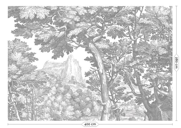 KEK Amsterdam Gravierte Landschaften Tapete grau WP-781 400x280cm