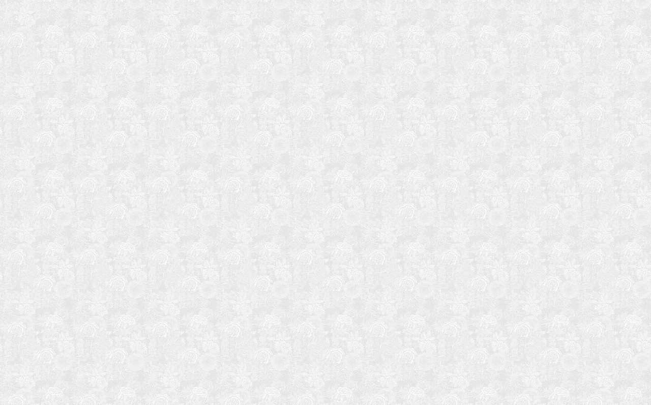 KEK Amsterdam Drawn floral wallpaper 100x280cm gray - FR-011 KEK Amsterdam Drawn floral wallpaper 100x280cm gray - FR-011