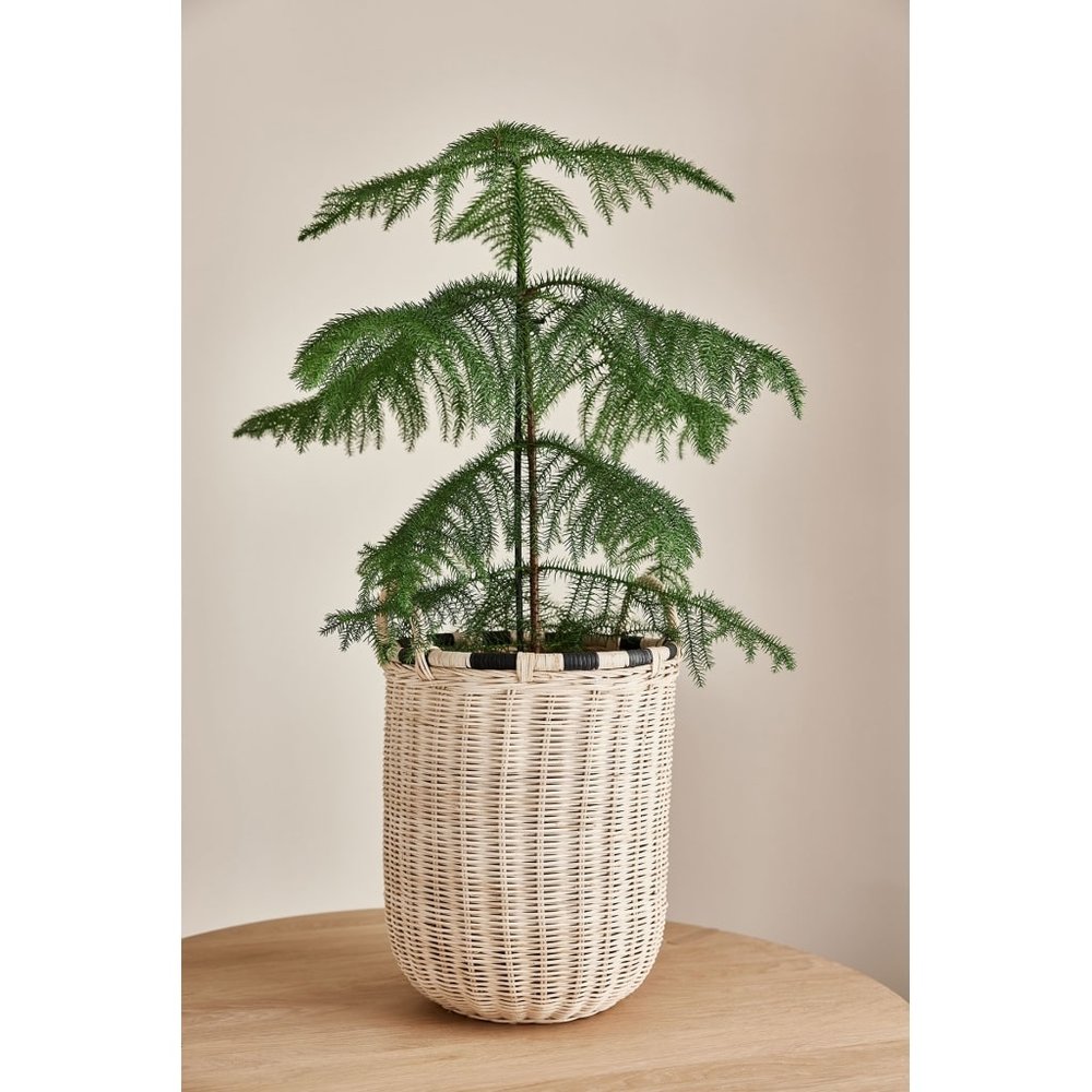 OYOY Boo storage basket high - L300294