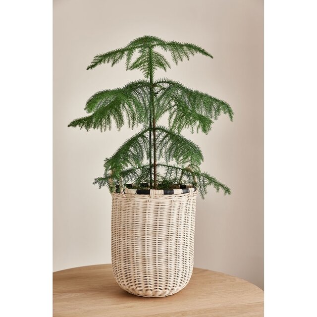 OYOY Boo storage basket high - L300294