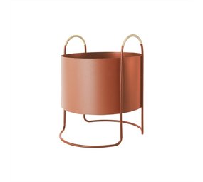 OYOY Maki planter lav muskatnød OYOY Maki planter lav muskatnød