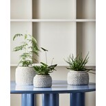 Nordal Aoba pot L - 6499