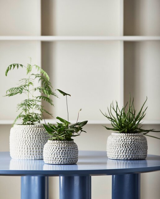 Nordal Aoba pot S - 6497