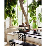 Nordal Etagère Boldo - 2001 Nordal Etagère Boldo - 2001