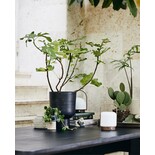 Nordal Troy draagbare lamp - 59081 Nordal Troy draagbare lamp - 59081