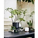 Nordal Troy draagbare lamp - 59081 Nordal Troy draagbare lamp - 59081