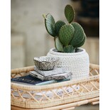 Nordal Leafa skål S set med 4 delar - 68093