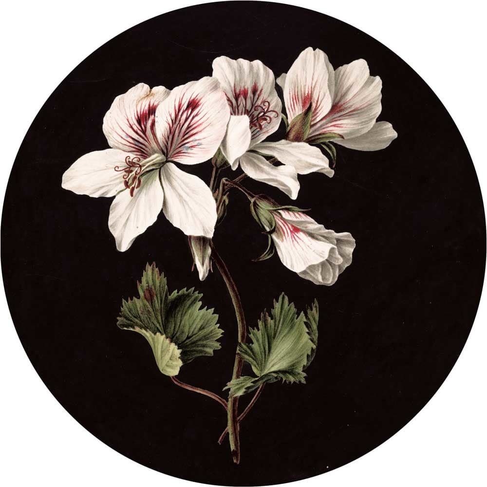 KEK Amsterdam Papel pintado floral blanco círculo CK-071 ø190cm