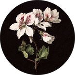 KEK Amsterdam White floral wallpaper circle CK-071 ø190cm