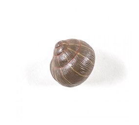 Seletti Snail sleepy colored coat rack Seletti Snail sleepy colored coat rack