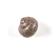 Seletti Snail sleepy kapstok gekleurd - 14632COL Seletti Snail sleepy kapstok gekleurd - 14632COL
