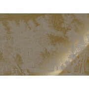 KEK Amsterdam Gold gravierte Landschaften Tapete grau MW-163 400x280cm