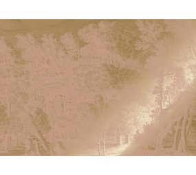 KEK Amsterdam Gold gravierte Landschaften Tapete Nude MW-158 200x280cm KEK Amsterdam Gold gravierte Landschaften Tapete Nude MW-158 200x280cm