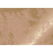 KEK Amsterdam Gold gravierte Landschaften Tapete Nude MW-159 300x280cm KEK Amsterdam Gold gravierte Landschaften Tapete Nude MW-159 300x280cm