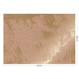 KEK Amsterdam Carta da parati con paesaggi incisi oro nude MW-160 400x280cm KEK Amsterdam Carta da parati con paesaggi incisi oro nude MW-160 400x280cm