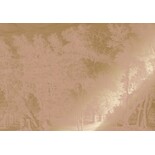 KEK Amsterdam Carta da parati con paesaggi incisi oro nude MW-160 400x280cm KEK Amsterdam Carta da parati con paesaggi incisi oro nude MW-160 400x280cm