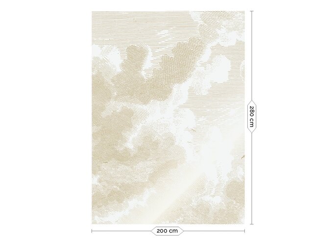 KEK Amsterdam Guldgraverad moln tapet MW-177- 300x280cm