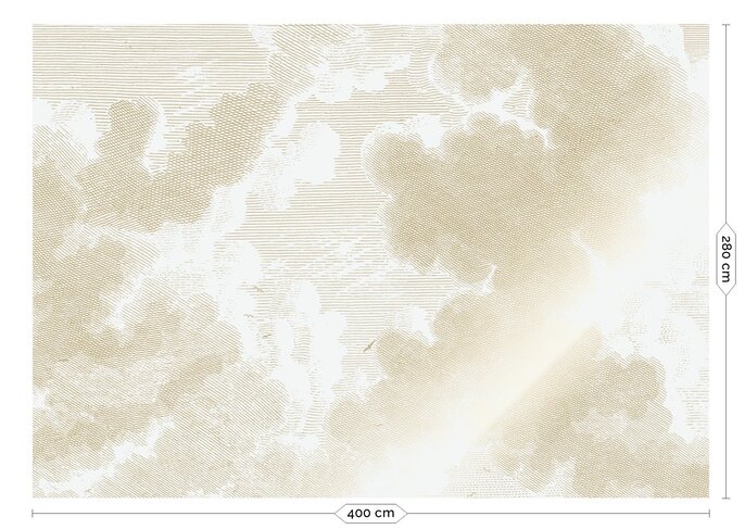 KEK Amsterdam Papier peint nuages Gravé Or MW-178 - 400x280cm