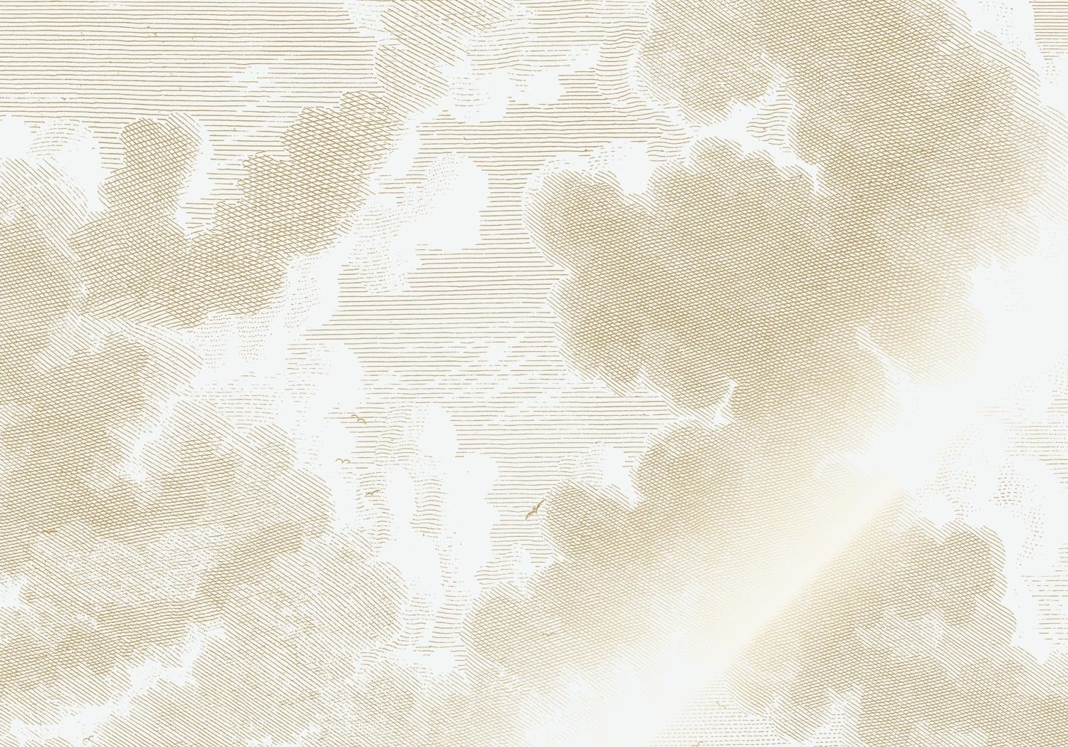 KEK Amsterdam Papier peint nuages Gravé Or MW-178 - 400x280cm