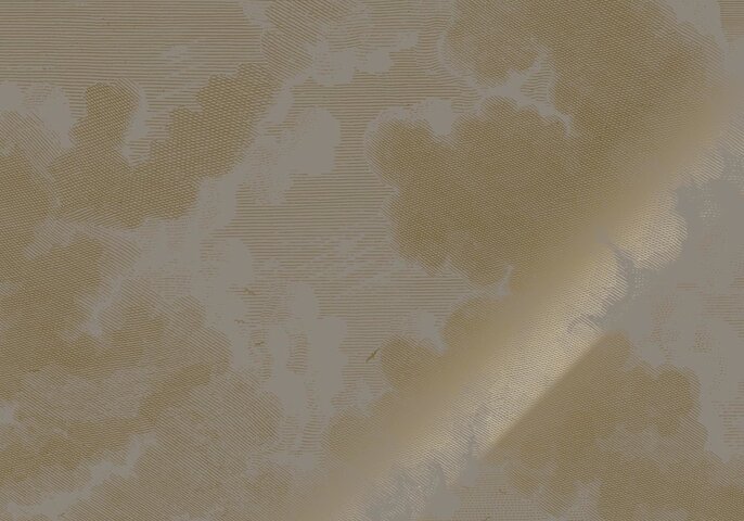 KEK Amsterdam Papier peint gris nuages gravés or MW-185 - 200x280cm