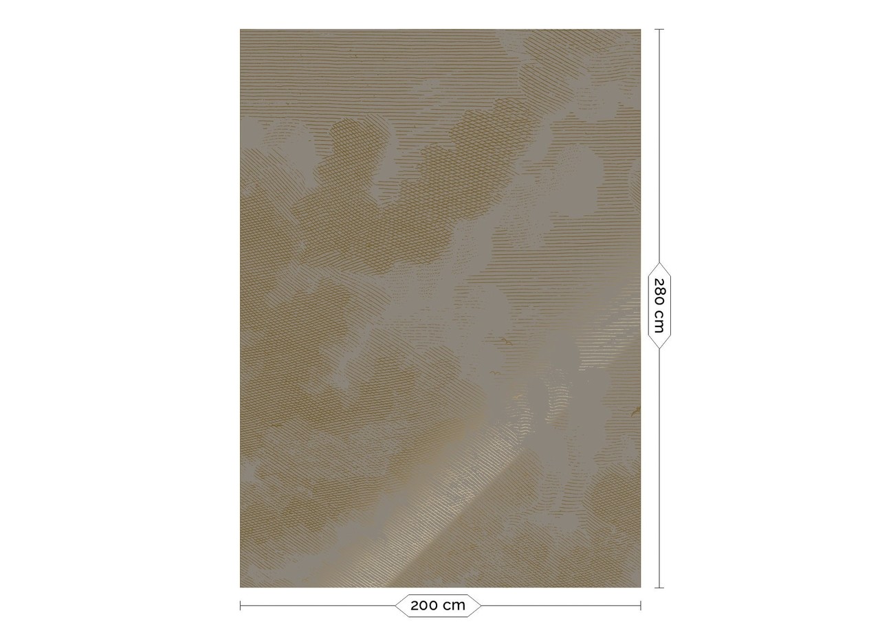 KEK Amsterdam Goud Engraved clouds grijs behang MW-185 - 200x280cm KEK Amsterdam Goud Engraved clouds grijs behang MW-185 - 200x280cm