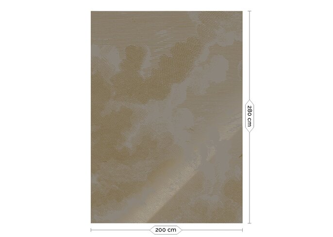KEK Amsterdam Carta da parati grigia nuvole incise oro MW-185 - 200x280cm
