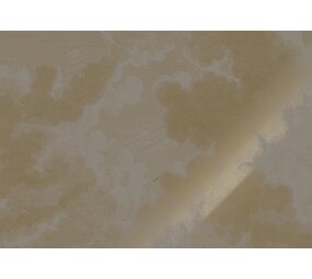 KEK Amsterdam Guldgraveret skyer grå tapet MW-187 - 400x280cm