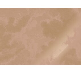 KEK Amsterdam Gold Gravierte Wolken Nude Tapete MW-182 - 200x280cm KEK Amsterdam Gold Gravierte Wolken Nude Tapete MW-182 - 200x280cm