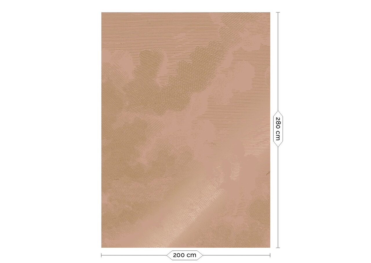 KEK Amsterdam Goud Engraved clouds nude behang MW-182 - 200x280cm KEK Amsterdam Goud Engraved clouds nude behang MW-182 - 200x280cm