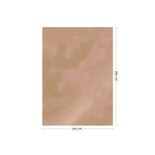 KEK Amsterdam Goud Engraved clouds nude behang MW-182 - 200x280cm KEK Amsterdam Goud Engraved clouds nude behang MW-182 - 200x280cm