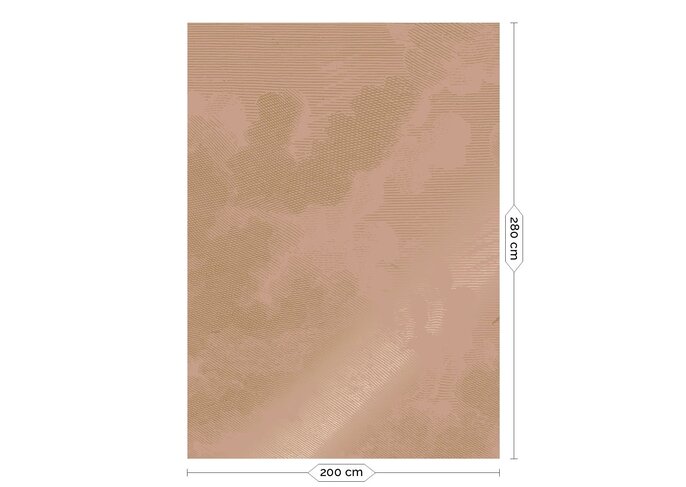 KEK Amsterdam Goud Engraved clouds nude behang MW-182 - 200x280cm