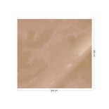KEK Amsterdam Carta da parati nude Nuvole incise oro MW-183 - 300x280cm