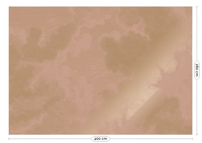 KEK Amsterdam Papier peint nude Nuages Gravés Or MW-184 - 400x280cm