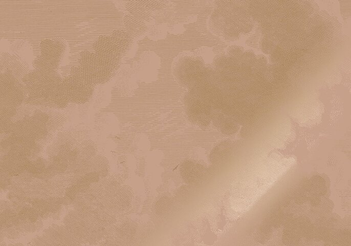KEK Amsterdam Papier peint nude Nuages Gravés Or MW-184 - 400x280cm