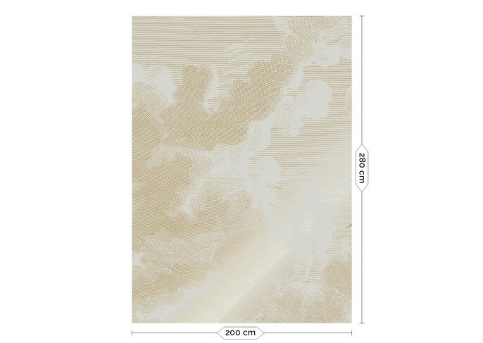 KEK Amsterdam Papel pintado arena nubes grabadas oro MW-179 - 200x280cm
