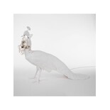 Seletti Påfugl LED-pære - 14672