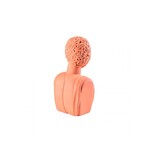 Seletti Busto de terracota Magna Graecia hombre objeto - 11512