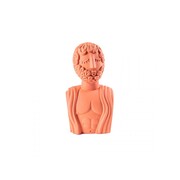 Seletti Busto de terracota Magna Graecia hombre objeto - 11512